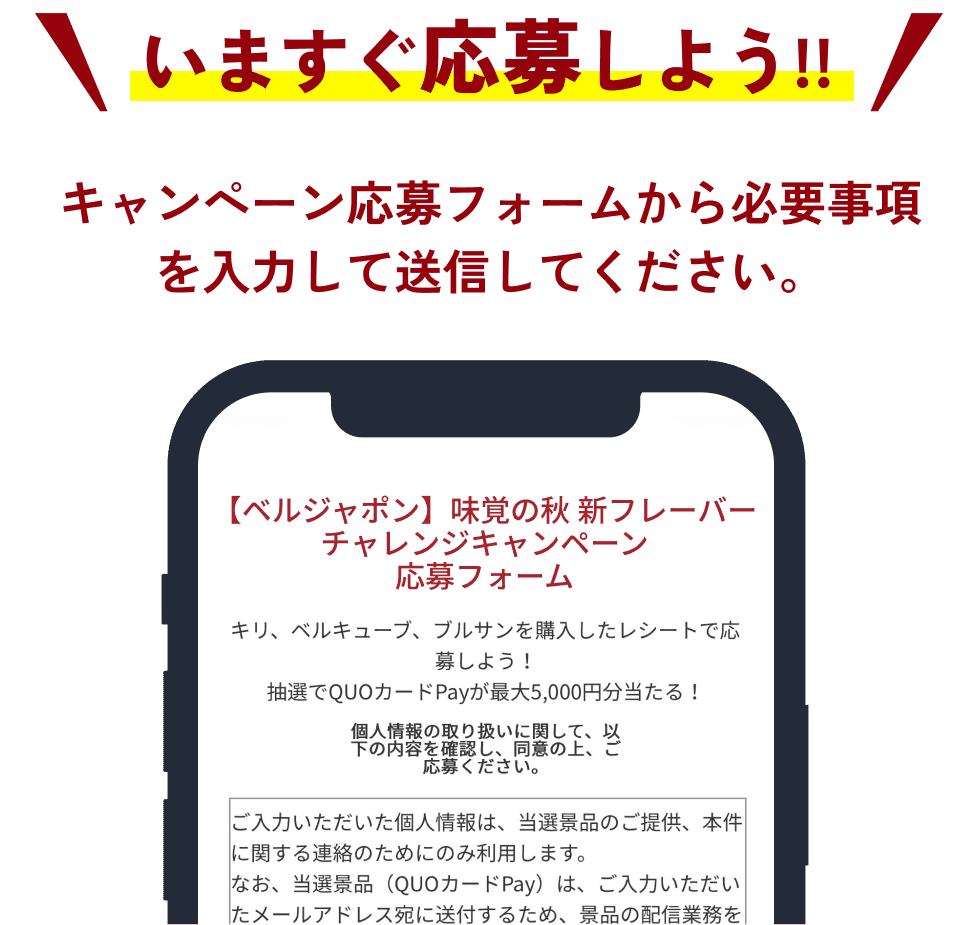 いますぐ応募しよう!!　キャンペーン応募フォームから必要事項を入力して送信してください。